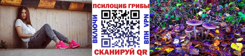 Галлюциногенные грибы MAGIC MUSHROOMS Кингисепп
